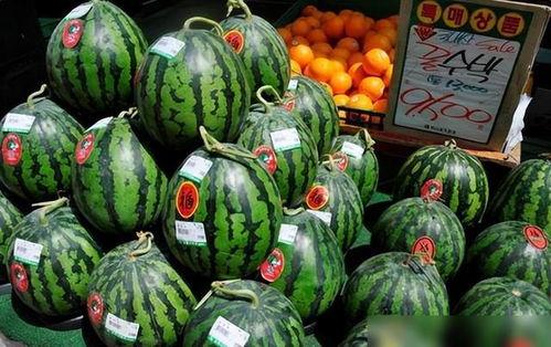 瓜吧瓜农今日吃瓜,今日吃瓜，笑谈农事生活