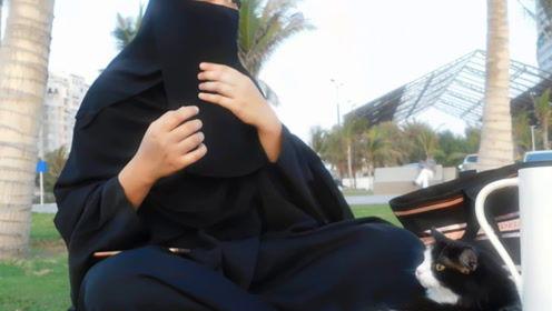 娱乐吃瓜君七七,揭秘娱乐圈背后的那些事儿